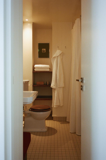Bathroom 4, Victor Masse, Paris