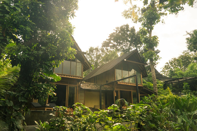 Exterior & Views 2, Lotus Forest Houses, Bantul