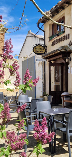 Others 5, Albergue Laganares - pilgrims hostel -, Palencia