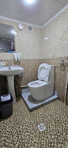 Bathroom 3, FAYZ XAN SARAY in Samarkand, Samarkand