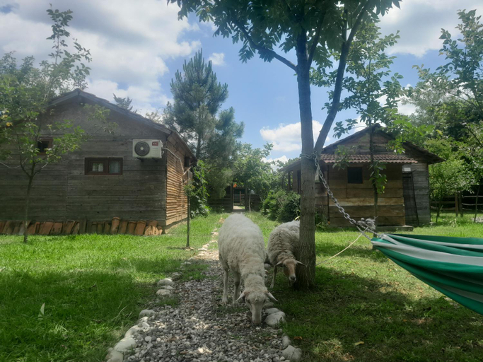 Others 2, Tiny houses Genacvale, Martvili
