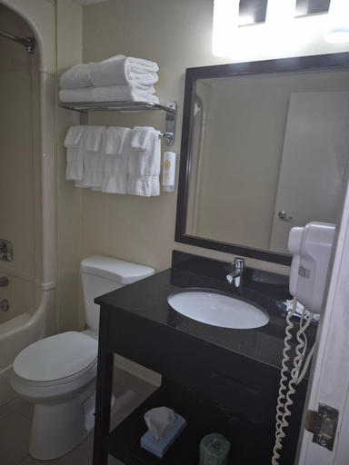 Bathroom 5, Comfort Inn, Niagara