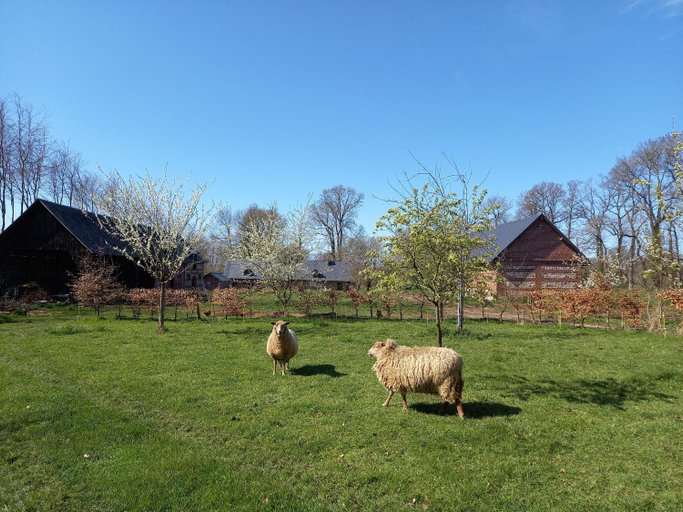 Others 5, Chambres d'hotes a 2 km de veules les Roses, Seine-Maritime