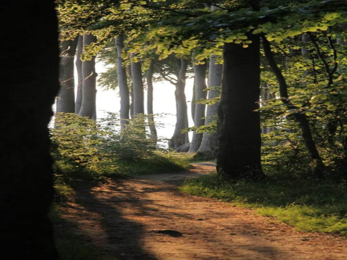Others 3, Peaceful Escape in Neu Karin, Rostock