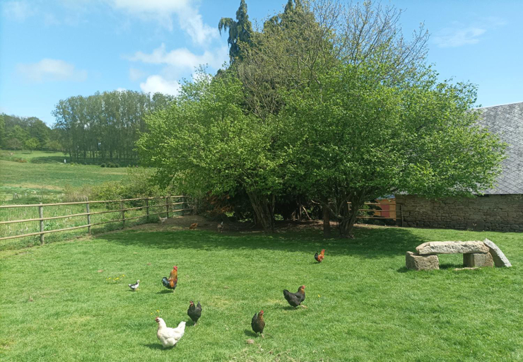 Others 5, LES ROCAILLES, Orne