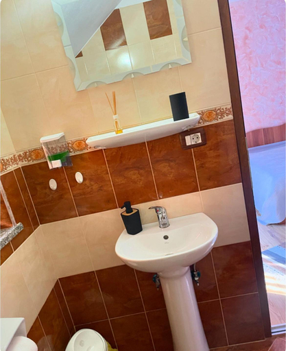 Bathroom 3, Casa de vacanta Ariana, Borsa