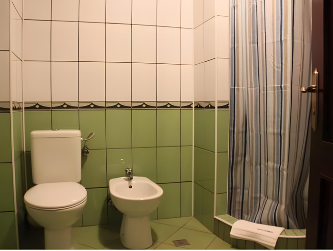 Bathroom 2, Pensiunea Vranis, Campulung Moldovenesc