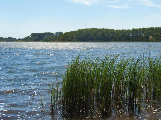 Others 5, Reihenhaus am Kummerower See in Sommersdorf, Mecklenburgische Seenplatte