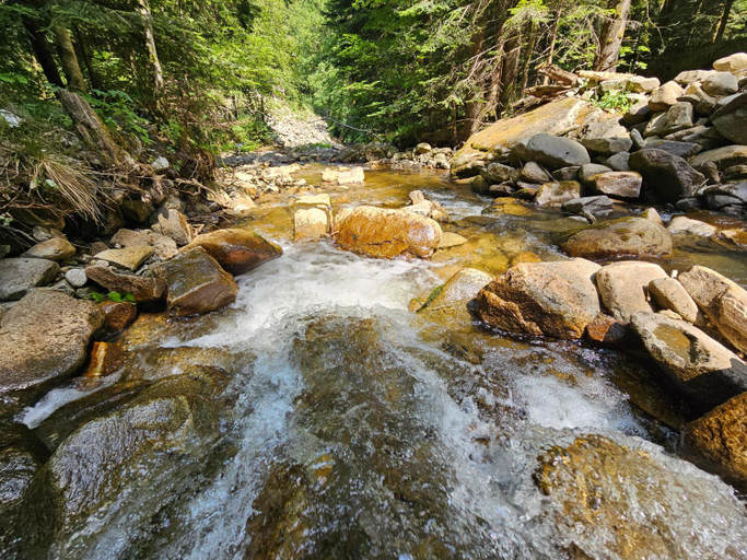 Others 5, Water Village Rogla a Private Riverside Glamping Tent, Slovenska Bistrica