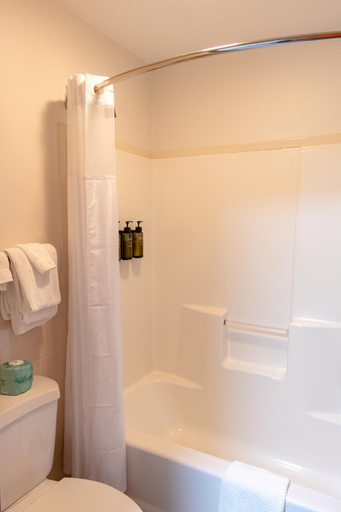 Bathroom 4, Townsend River Breeze Inn, Blount