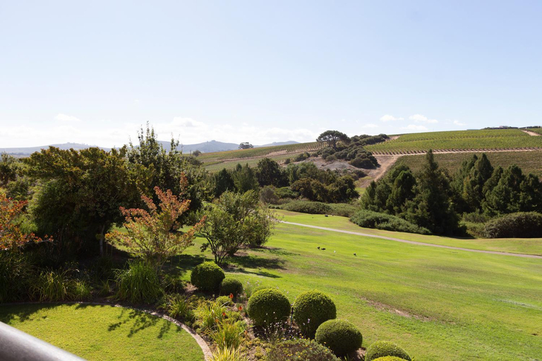 Others 4, Winelands Golf Lodges 8 at De Zalze, Cape Winelands