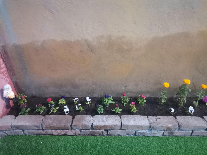 Others 5, Town Yard Hostel, Ulan Bator