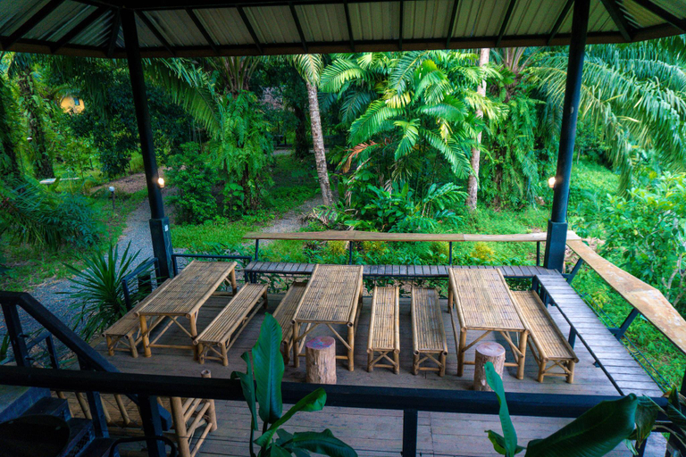 Food & Drinks 5, Anurak Community Lodge Surat Thani, Phanom