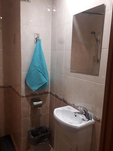 Bathroom 5, ЛЕСНАЯ ЖЕМЧУЖИНА, Katav-Ivanovskiy rayon