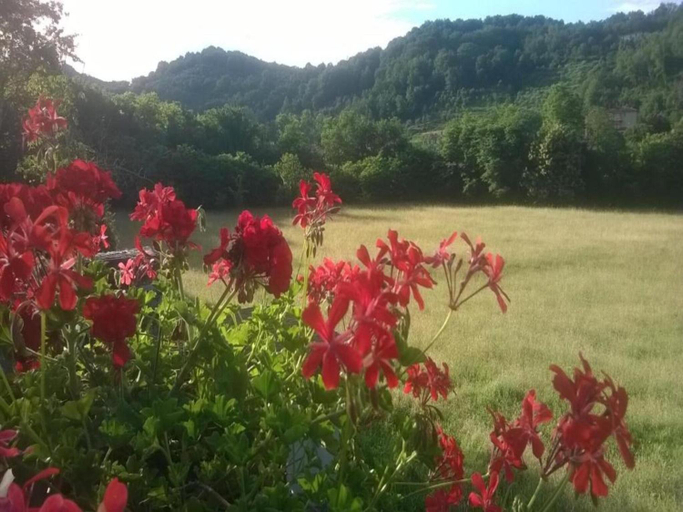 Surrounding environment 4, Holiday home in Canossa with Swimming Pool, Garden, Barbecue, Massa Carrara