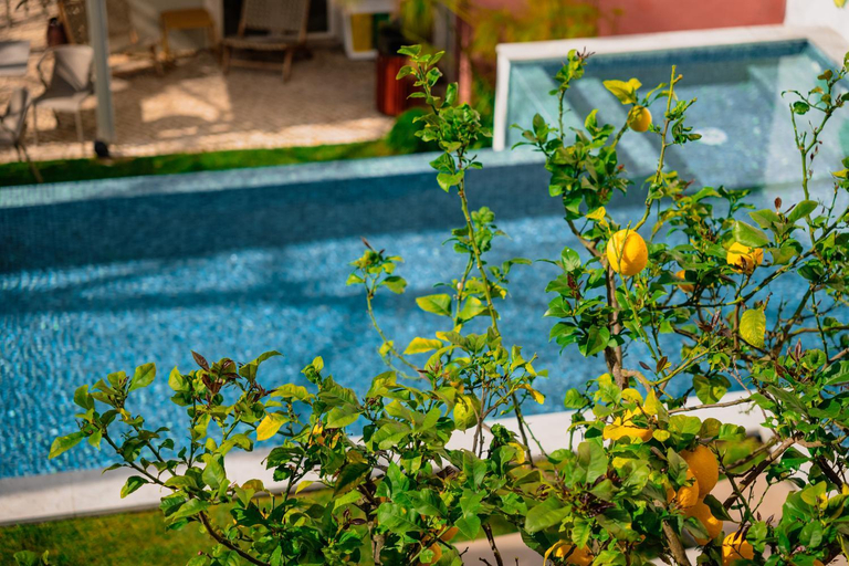 Sport & Beauty 5, Jardim da Lapa by Shiadu, Lisbon