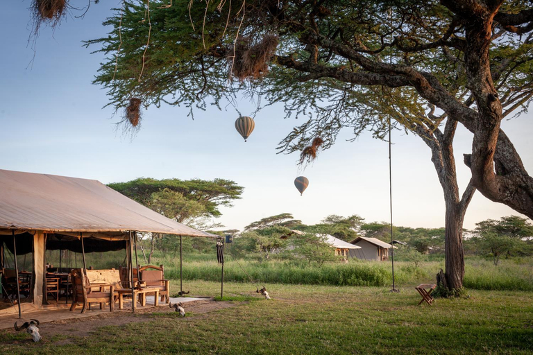 Others 3, Gnu Ndutu Camp, Ngorongoro