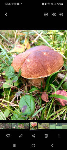 Others 3, Nad Potokiem, Bieszczady