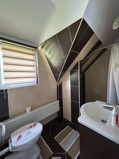 Bathroom, Casa Alberto, Sovata