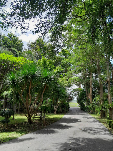 Others 5, The Garden Resort, Chai Badan