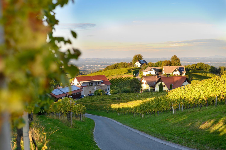 Others 5, Weingut Schwarzl, Leibnitz