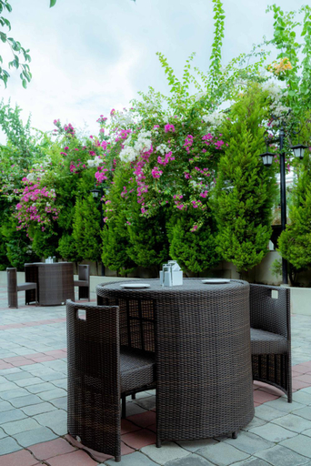4, Hotel Quick Twenty And Riverside, Narayani