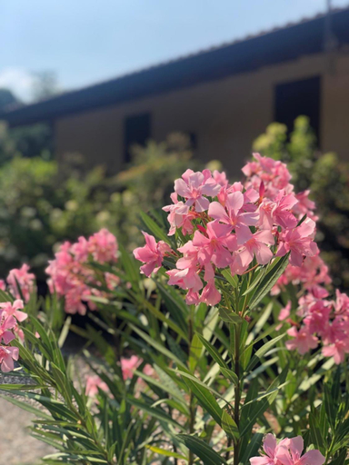 Exterior & Views, LA CASETTA Malpensa Guesthouse, Varese
