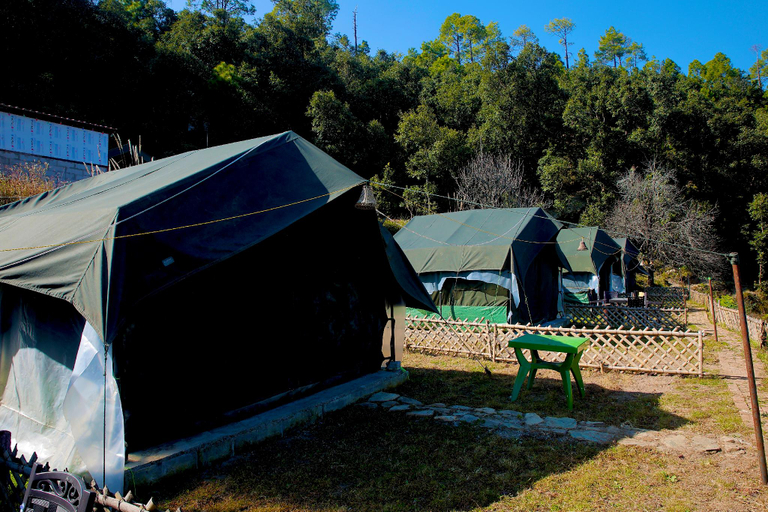 Exterior & Views 1, Rosetree Wild Wishes Camp- Mukteshwar, Nainital