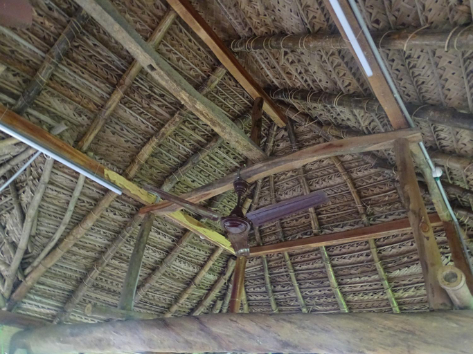 3, Paddy Homestay, Thanjavur