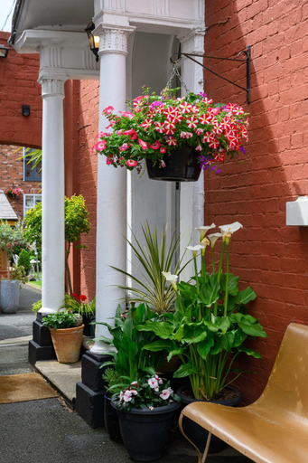 Public Area, Darwins Townhouse, Shropshire