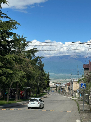 Others 5, Hotel Erma, Telavi