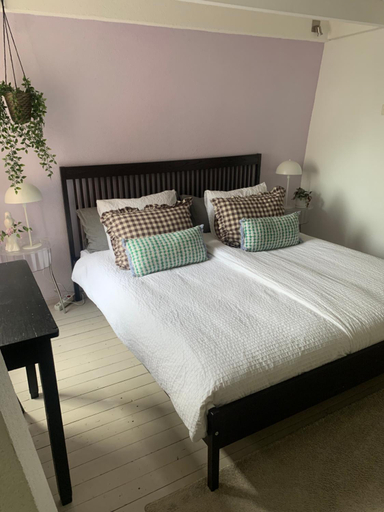 Others 5, B&B Vintage Room, Vught