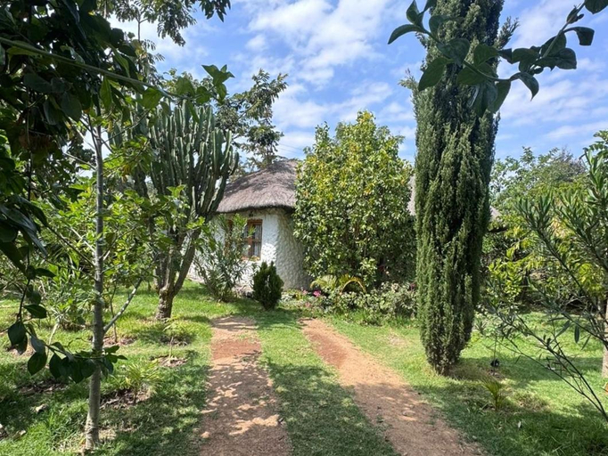 Others 3, Podocarpus cottages, Kieni