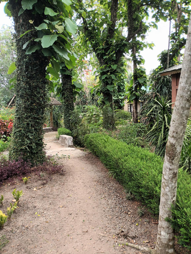 Others 5, Tuskers Den Forest Resort, Jalpaiguri