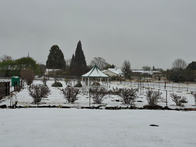 Others 5, Meadow View Guest Room, Gert Sibande