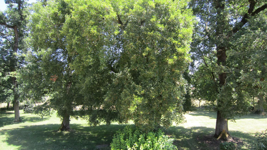 Others 4, Le Clos de la Garenne Maison d'hotes, Charente-Maritime