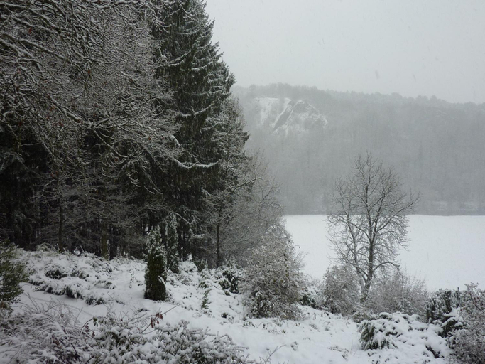 Others 4, Forest Cottage in Durbuy, Luxembourg