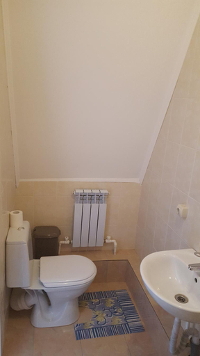 Bathroom 2, Gostievoi dom "Lyzhnik", Istrinskiy rayon