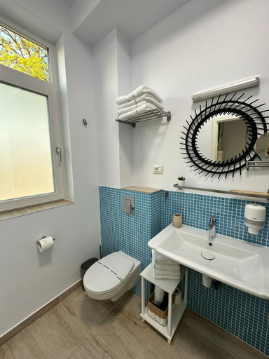 Bathroom 3, Halta Pescarus Accommodation, 23 August