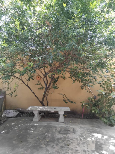 Garden 3, The Hostel, Weligama