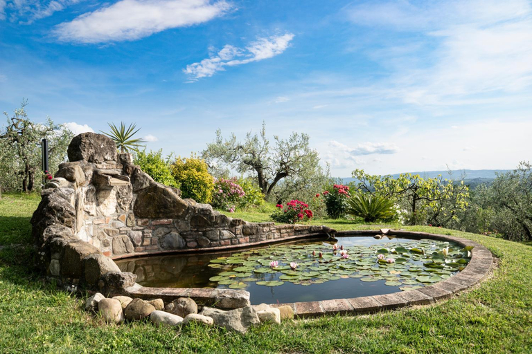 Others 5, B&B Il Poggetto, Florence