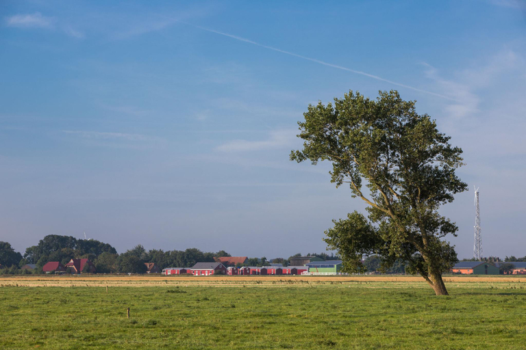 Others 5, Ferienhof Schild, Friesland