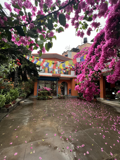 Others 3, Sun Rise Cottage , Bagmati