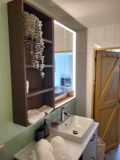 Bathroom 2, Appartement 3 met terras aan de tuin van Op de Roemte, Winsum