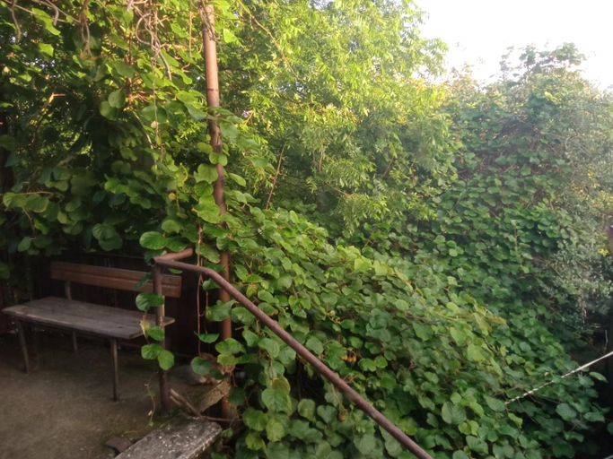 Others 2, one bedroom suite, Zugdidi
