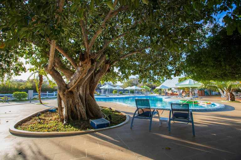 Swimming pool 3, Mantasaly Resort, Diana