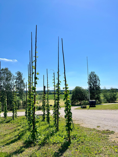 Others 5, Humletorkan Vandrarhem, Bromölla