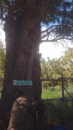 Others 3, Hostel Nattivo Atacama, El Loa