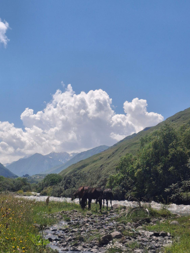 Others 4, Elegia, Kazbegi