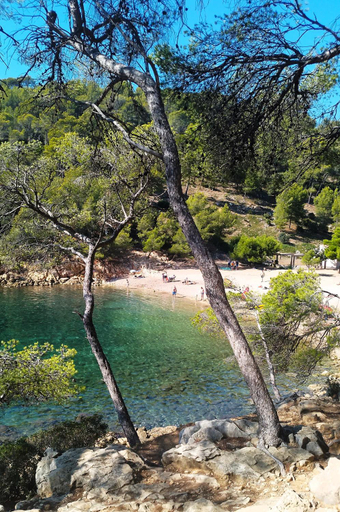Others 3, Les Pieds Tanques - Chambres d'hotes - Calanque a pieds, Var